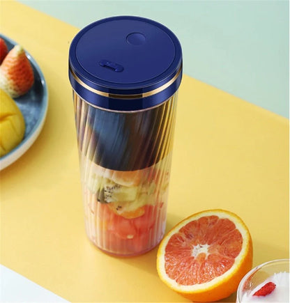 Mini Home Fruit Juicer