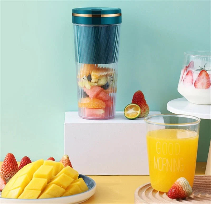 Mini Home Fruit Juicer