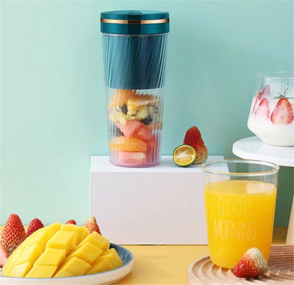 Mini Home Fruit Juicer