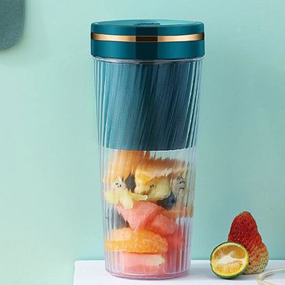 Mini Home Fruit Juicer
